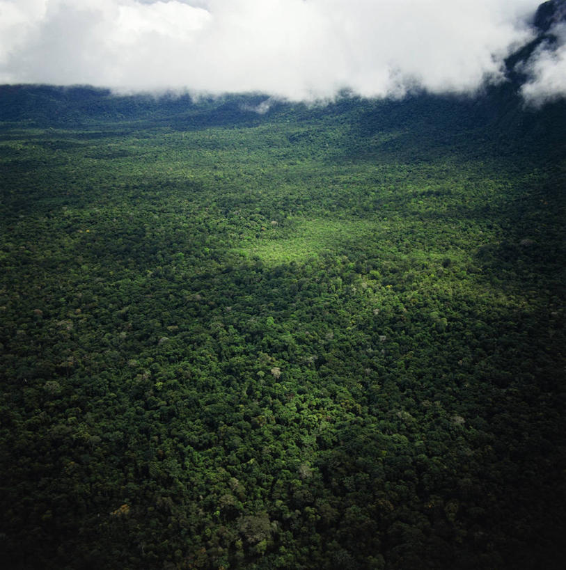无人,竖图,方图,俯视,航拍,室外,白天,旅游,度假,美景,委内瑞拉,地形,景观,娱乐,绿色,风景,自然,享受,休闲,景色,放松,摄影,宁静,热带气候,鸟瞰,自然风光,热带雨林,彩图,高角度拍摄,亚马逊雨林
