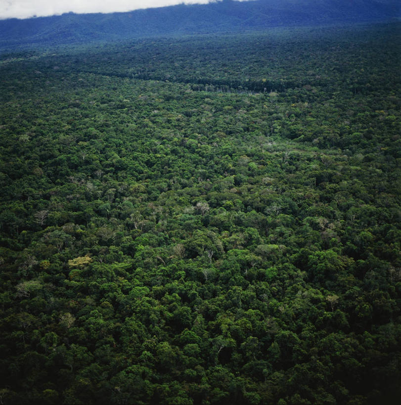 无人,竖图,方图,俯视,航拍,室外,白天,旅游,度假,美景,委内瑞拉,地形,景观,娱乐,绿色,风景,自然,享受,休闲,景色,放松,摄影,宁静,热带气候,鸟瞰,自然风光,热带雨林,彩图,高角度拍摄,亚马逊雨林