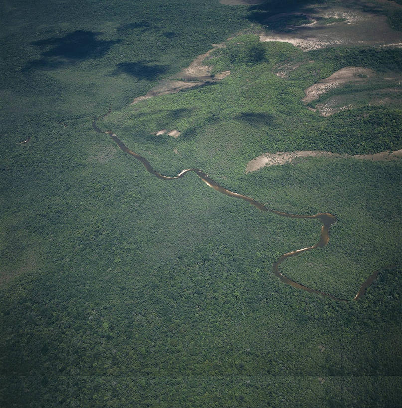 无人,竖图,方图,俯视,航拍,室外,白天,旅游,度假,河流,美景,委内瑞拉,地形,景观,娱乐,绿色,风景,小溪,自然,享受,休闲,景色,放松,摄影,宁静,热带气候,鸟瞰,自然风光,热带雨林,彩图,高角度拍摄,亚马逊雨林