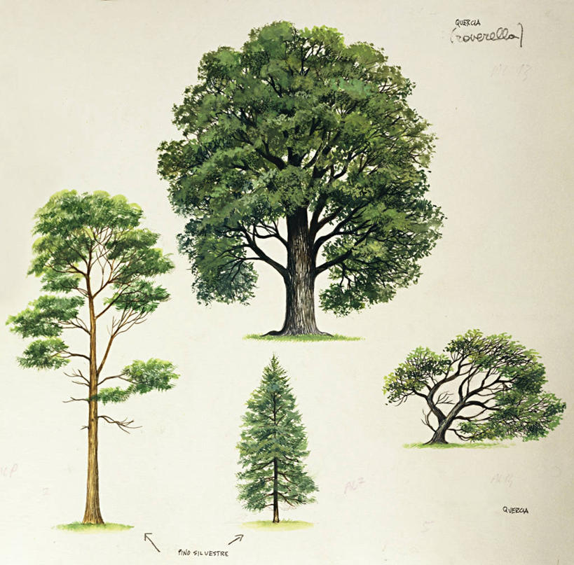 无人,横图,竖图,插画,数码,科技,阴影,网络,枝,高光,几何,计算机图形,合成,图画,画,树,绿色,自然,比较,生长,多样,电脑合成图,数码合成图,生物学,合成图,漫画,写实,具体,具象,欧洲赤松,彩图