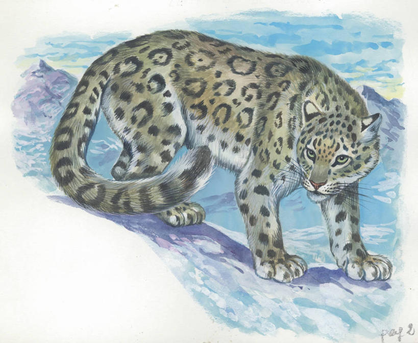 无人,横图,插画,室外,白天,侧面,数码,科技,山,野生动物,阴影,网络,高光,几何,计算机图形,合成,图画,画,电脑合成图,数码合成图,生物学,合成图,雪豹,野猫,漫画,写实,具体,具象,危险,彩图