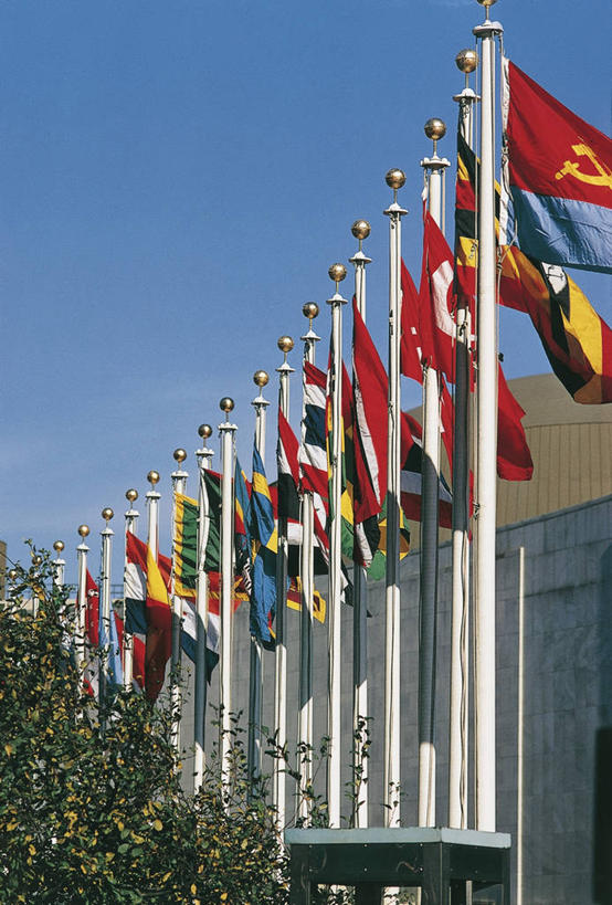 无人,竖图,室外,白天,骄傲,植物,城市,建筑,旗帜,国旗,纽约,美国,一排,整齐,符号,曼哈顿,图像,树,排列,蓝色,天空,地标建筑,概念,摄影,权威,人造,北美,政府大楼,北美洲,队列,主题,政府,美洲,身份,联合国总部,纽约市,纽约州,万里无云,帝国之州,帝国州,北亚美利加洲,亚美利加洲,构图,联合国大厦,彩图,旅行,美利坚合众国,时空,曼哈顿区,纽约县,曼哈顿岛,联合国总部大楼