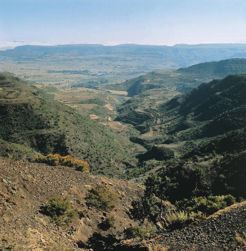 无人,竖图,俯视,室外,白天,旅游,度假,石头,美景,山,峡谷,植物,非洲,埃塞俄比亚,厄立特里亚,石子,地形,高原,景观,山谷,宏伟,图像,娱乐,树,风景,天空,自然,享受,休闲,概念,景色,放松,摄影,宁静,岩层,自然风光,主题,干的,视角,地貌,万里无云,构图,东非,地质学,自然地理,石块,岩石,彩图,高角度拍摄,旅行,时空,状态,火山学