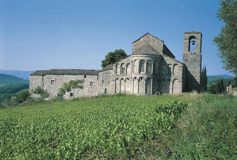 无人,教堂,横图,室外,白天,旅游,度假,农业,农作物,美景,植物,建筑,意大利,欧洲,地形,景观,田地,塔,酒类,图像,娱乐,酒,树,饮料,天空,自然,享受,休闲,景色,放松,摄影,宗教,人造,罗马式,基督教,宗教建筑,地中海文化,南欧,自然风光,主题,托斯卡纳区,万里无云,蒸馏酒,烈酒,构图,灵性,彩图,旅行,时空,传统文化,阿雷佐