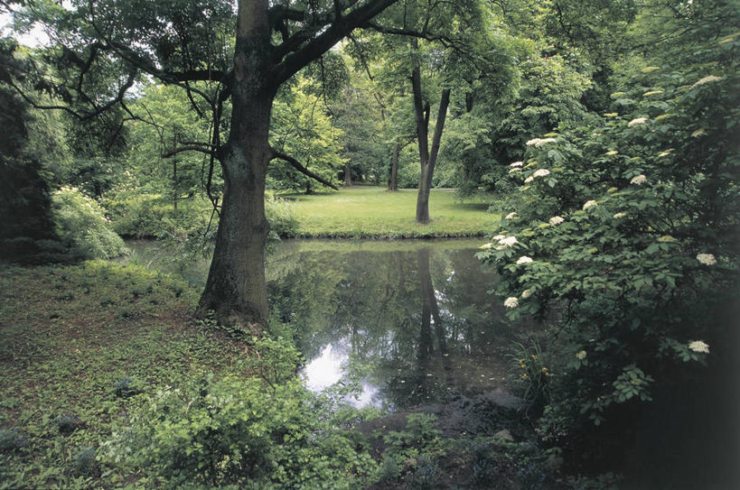 无人,横图,室外,白天,湖,植物,欧洲,波兰,反射,首都,图像,草,花,树,风景,自然,地标建筑,摄影,主题,东欧,构图,华沙,马佐夫舍,死水,彩图,旅行,时空