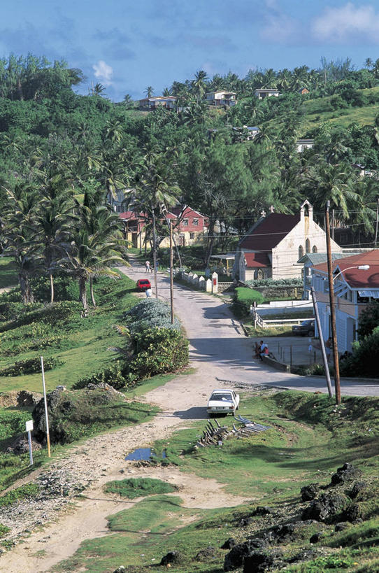 成年人,人群,教堂,竖图,俯视,室外,白天,植物,建筑,汽车,棕榈树,加勒比海,巴巴多斯,阴影,朦胧,模糊,房屋,岛,城镇,机动车,酒类,图像,杆,车,酒,草,树,饮料,天空,交通工具,大西洋,运输,摄影,宗教,年龄,人造,北美,住房,西印度群岛,基督教,宗教建筑,载具,主题,美洲,自然现象,视角,地貌,蒸馏酒,小安的列斯群岛,烈酒,构图,灵性,男人,男性,女人,女性,彩图,高角度拍摄,旅行,时空