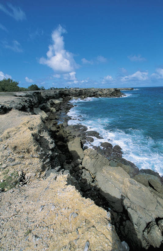 无人,竖图,俯视,室外,白天,旅游,度假,海浪,海洋,美景,水,加勒比海,巴巴多斯,阴影,岛,地形,海岸线,景观,云,图像,娱乐,风景,天空,自然,波浪,享受,休闲,概念,景色,大西洋,放松,摄影,宁静,北美,西印度群岛,岩层,自然风光,主题,美洲,自然现象,视角,地貌,小安的列斯群岛,构图,海滩,岩石,彩图,高角度拍摄,旅行,时空