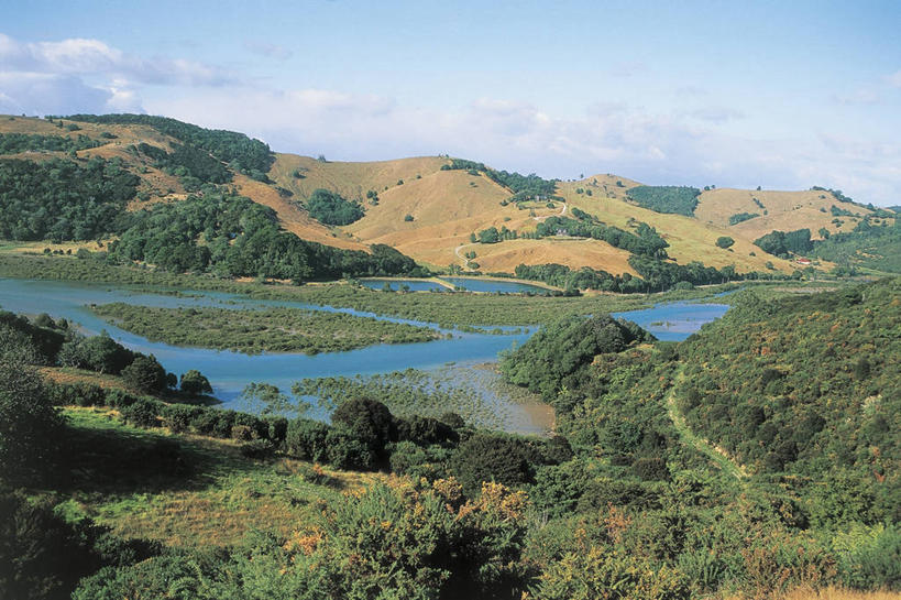 无人,横图,俯视,室外,白天,河流,植物,新西兰,地形,流水,云,图像,草,树,风景,天空,自然,概念,摄影,宁静,主题,大洋洲,自然现象,视角,澳大拉西亚,构图,奥克兰区,彩图,高角度拍摄,旅行,时空