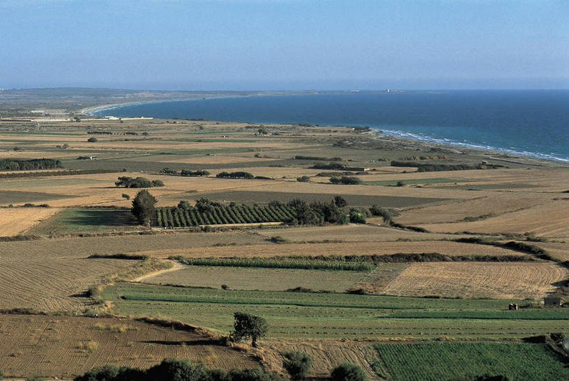 无人,农场,横图,俯视,室外,白天,旅游,度假,农业,农作物,海洋,美景,水,植物,塞浦路斯,亚洲,地平线,地形,海岸线,景观,水平线,田地,图像,娱乐,树,天空,自然,波浪,享受,休闲,景色,放松,摄影,中东,地中海文化,南欧,自然风光,主题,自然现象,视角,构图,利马索尔,海滩,彩图,高角度拍摄,时空,传统文化