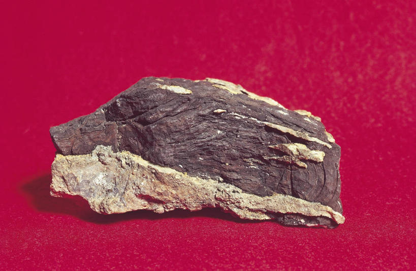 无人,横图,室内,特写,粗糙,金属,图像,一个,自然,概念,摄影,单个,毛糙,主题,自然现象,构图,地质学,想法,矿物质,自然地理,岩石,彩图,影棚拍摄,砒霜,粗拙,状态