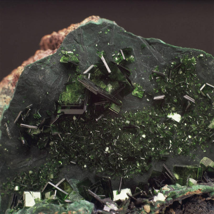 无人,方图,室内,特写,植物,黑色背景,粗糙,金属,材料,苔藓,图像,一个,黑色,自然,概念,摄影,单个,部分,毛糙,主题,横截面,自然现象,构图,地质学,想法,矿物质,孔雀石,自然地理,岩石,彩图,影棚拍摄,粗拙,状态