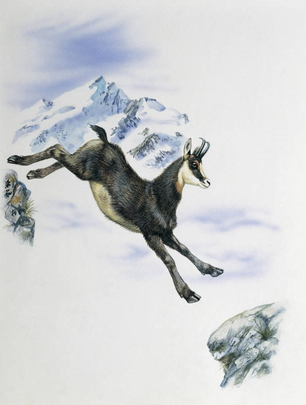 无人,跳,竖图,插画,室外,特写,白天,数码,科技,山,雪,雪山,哺乳动物,野生动物,阴影,网络,羚羊,山顶,冬天,半空,高光,几何,计算机图形,合成,图像,图画,画,动物,季节,电脑合成图,数码合成图,生物学,合成图,主题,自然现象,漫画,计算机制图,地貌,写实,具体,具象,构图,岩石,彩图,时空,动物学,岩羚羊,脊椎动物亚门