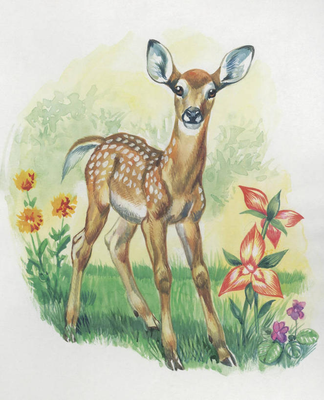 无人,竖图,插画,室外,特写,白天,数码,科技,植物,哺乳动物,鹿,野生动物,阴影,科学,网络,高光,几何,计算机图形,合成,图像,图画,画,草,花,自然,动物,可爱,活泼,电脑合成图,数码合成图,生物学,合成图,白尾鹿,主题,小鹿,漫画,小牛,偶蹄目,计算机制图,写实,具体,具象,构图,彩图,时空,动物学,脊椎动物亚门