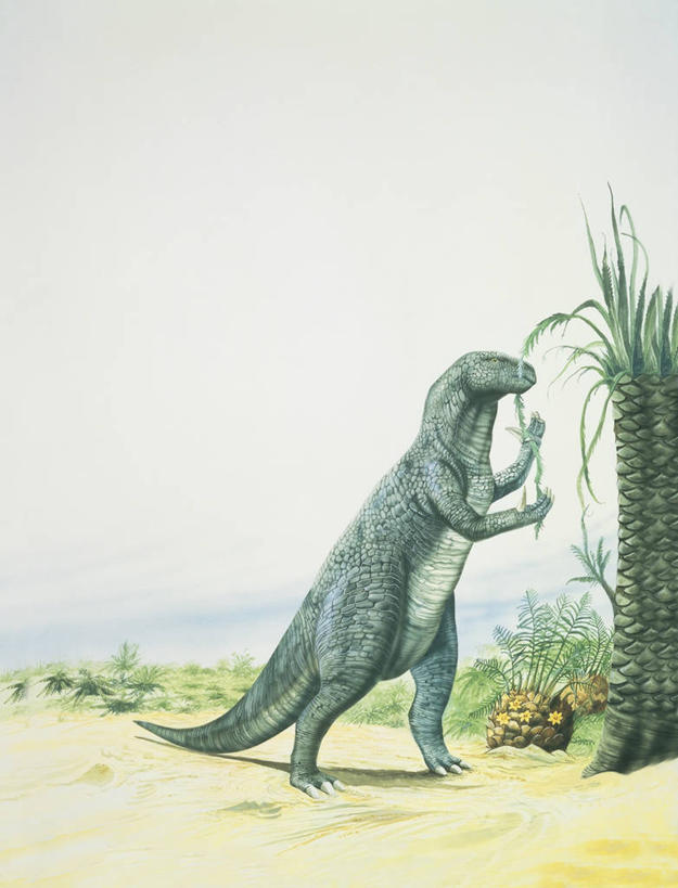 无人,吃,竖图,插画,室外,特写,白天,数码,科技,植物,野生动物,叶子,阴影,网络,沙子,高光,几何,计算机图形,合成,图像,图画,历史,画,花,树,动物,生物,恐龙,电脑合成图,数码合成图,生物学,合成图,主题,自然现象,漫画,计算机制图,写实,具体,具象,构图,禽龙,古代史,地质学,史前时代,彩图,时空,动物学,古生物学,脊椎动物亚门