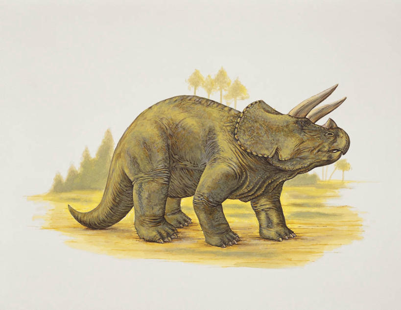 无人,吃,横图,插画,室外,特写,白天,数码,科技,植物,野生动物,阴影,网络,沙子,高光,几何,计算机图形,合成,图像,图画,历史,画,树,动物,生物,恐龙,电脑合成图,数码合成图,生物学,合成图,主题,自然现象,漫画,计算机制图,写实,具体,具象,构图,三角龙,禽龙,古代史,地质学,史前时代,彩图,时空,动物学,古生物学,脊椎动物亚门