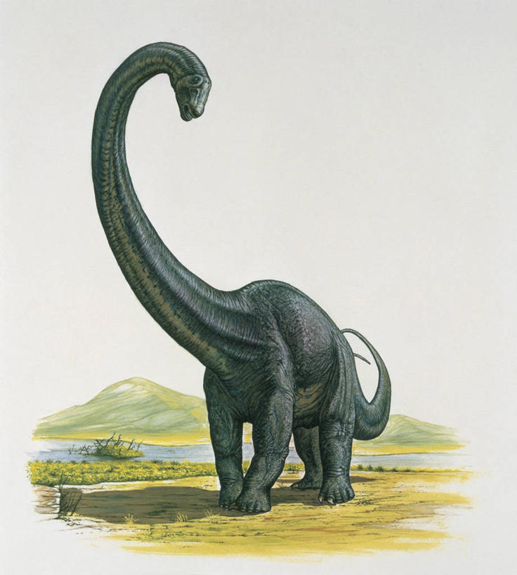 无人,站,竖图,插画,室外,特写,白天,旅游,度假,数码,科技,河流,美景,山,野生动物,阴影,科学,网络,地形,景观,流水,高光,几何,计算机图形,合成,图像,图画,历史,娱乐,画,天空,自然,动物,享受,休闲,概念,生物,景色,放松,恐龙,食草动物,电脑合成图,数码合成图,生物学,合成图,自然风光,主题,自然现象,漫画,偶蹄目,计算机制图,地貌,写实,具体,具象,构图,侏罗纪,古代史,进化,地质学,梁龙,史前时代,颈,彩图,时空,动物学,过去,古生物学,脊椎动物亚门