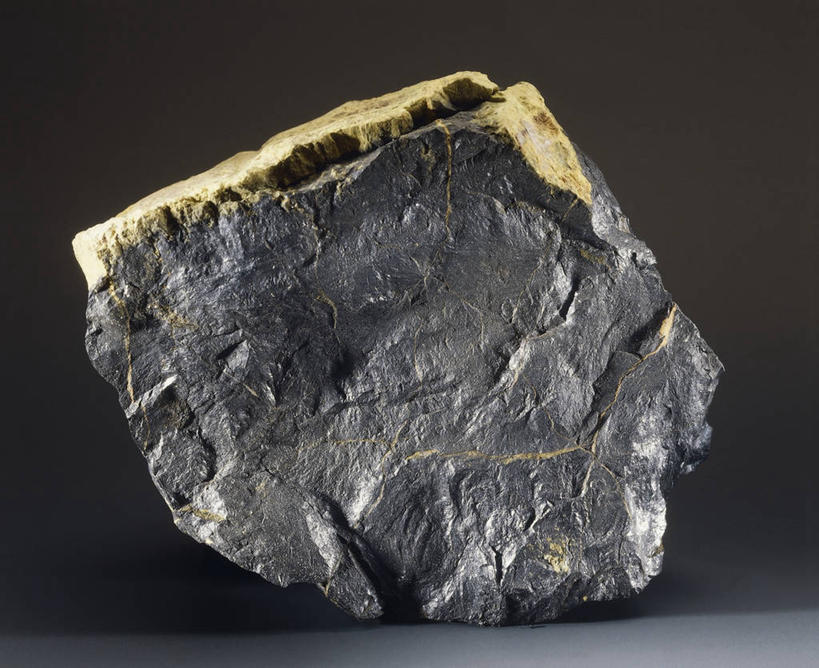 无人,横图,室内,特写,黑色背景,粗糙,图像,黑色,自然,摄影,矿产,毛糙,矿物,主题,自然现象,构图,地质学,矿物质,自然地理,岩石,彩图,影棚拍摄,时空,粗拙,状态,金属矿产