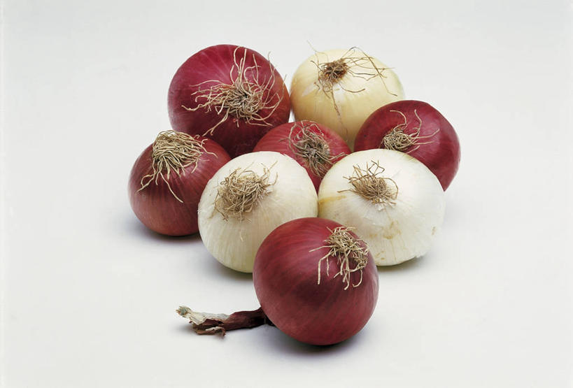无人,横图,室内,特写,白色背景,洋葱,静物,饮食,摄影,生活方式,健康食物,彩图