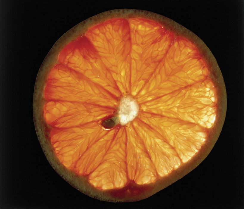 无人,横图,室内,特写,水果,黑色背景,葡萄柚,饮食,橙色,摄影,芸香科,生物学,横截面,彩图,影棚拍摄