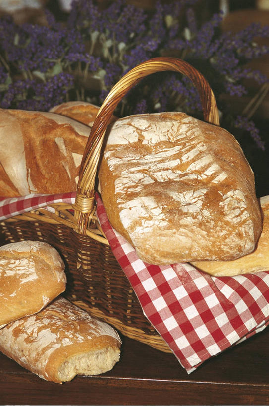 点心,面包,无人,竖图,俯视,室内,特写,意大利,欧洲,篮子,食品,面点,饮食,食物,糕点,餐巾,摄影,生活方式,地中海文化,健康食物,托斯卡纳区,卢卡,彩图,高角度拍摄