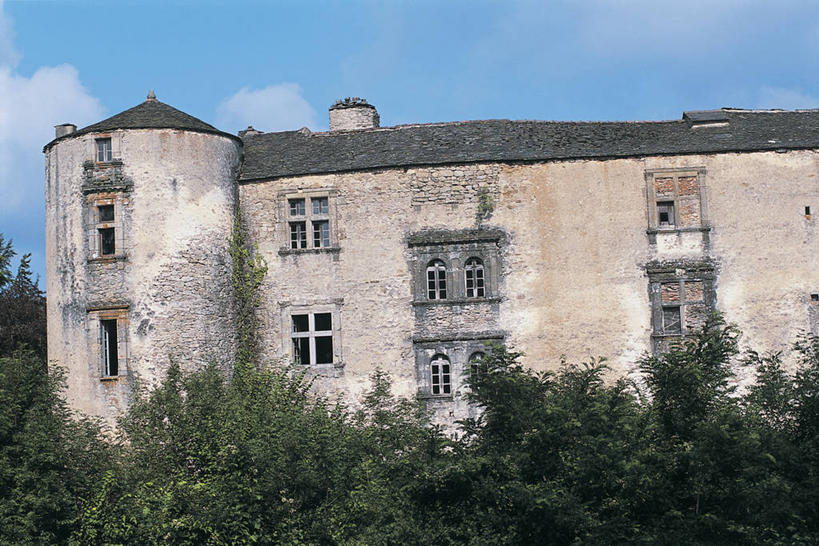 无人,横图,室外,白天,窗户,建筑,法国,欧洲,城堡,云,历史,树,天空,摄影,西欧,地中海文化,法兰西,法兰西共和国,法兰西第五共和国,南部.比利牛斯,上比利牛斯省,南部.比利牛斯大区,彩图,过去