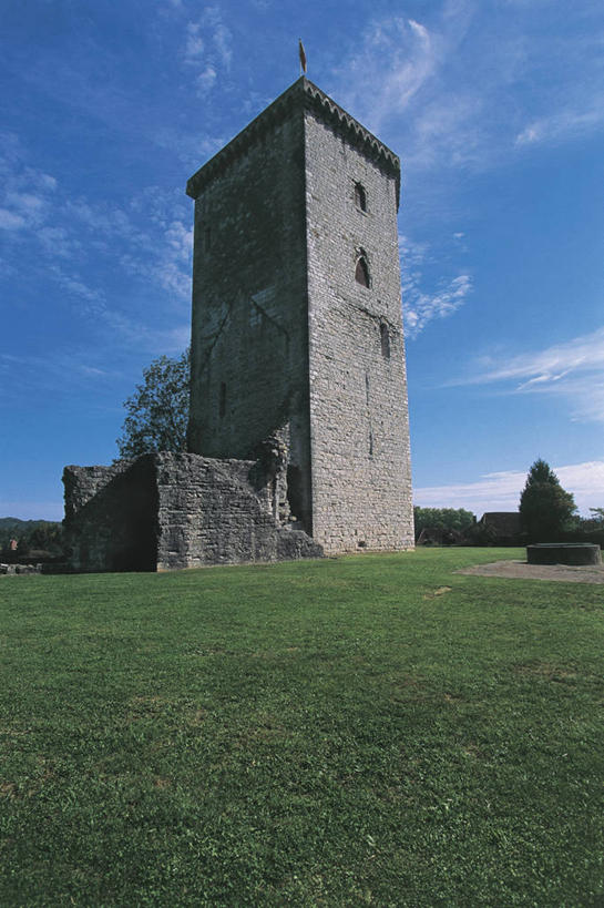 无人,竖图,室外,白天,仰视,建筑,法国,欧洲,地形,云,塔,历史,砖墙,废墟,草,树,天空,摄影,西欧,地中海文化,法兰西,法兰西共和国,阿基坦,法兰西第五共和国,亚魁当,阿基坦大区,彩图,低角度拍摄,比利牛斯.大西洋省,过去