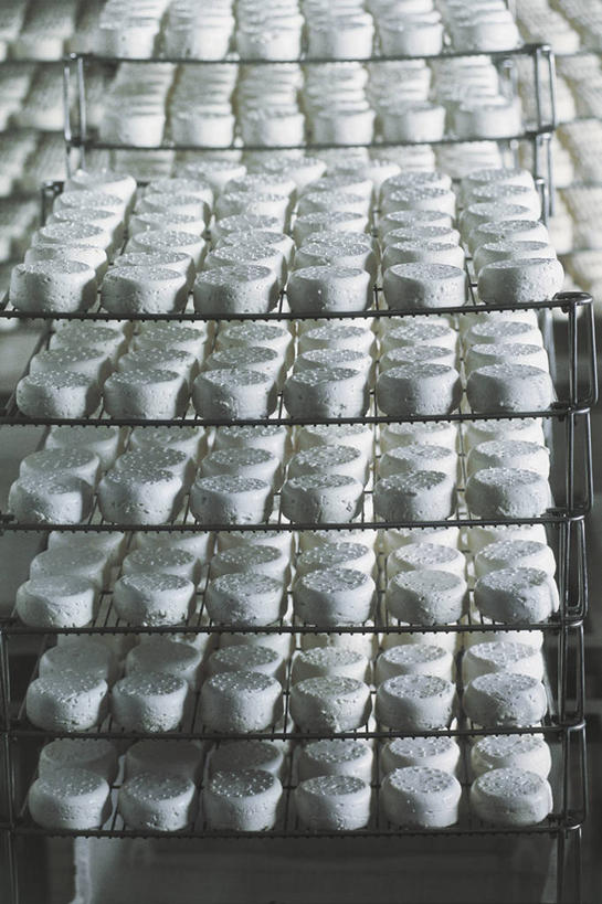 奶酪,无人,竖图,俯视,室内,静物,法国,欧洲,许多,丰富,支架,生食,食品,很多,餐盘,饮食,架子,摄影,奶制品,西欧,地中海文化,清新,法兰西,山羊乳酪,法国文化,健康食物,法兰西共和国,法兰西第五共和国,彩图,高角度拍摄,罗讷.阿尔卑斯,罗讷.阿尔卑斯大区