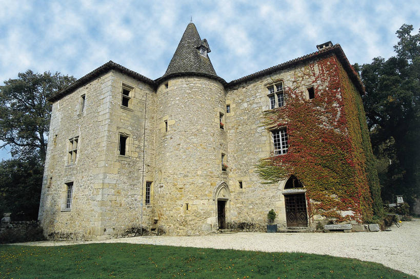 无人,横图,室外,白天,仰视,建筑,法国,欧洲,城堡,云,历史,树,天空,摄影,地中海文化,奥弗涅,彩图,低角度拍摄,过去