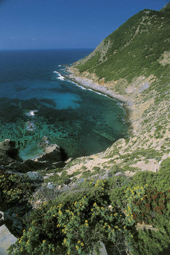 无人,竖图,俯视,室外,白天,旅游,度假,海洋,美景,植物,意大利,欧洲,岛,海岸线,景观,娱乐,风景,天空,自然,享受,休闲,景色,放松,摄影,宁静,西西里,岩层,地中海文化,自然风光,意大利文化,万里无云,埃加迪群岛,海滩,岩石,彩图,高角度拍摄