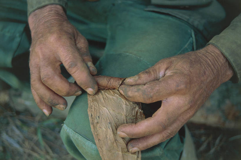 手,一个人,横图,室内,石头,峡谷,古巴,加勒比海,仅一个男性,朦胧,模糊,石子,山谷,做,雪茄,大西洋,翻滚,工业,人体,摄影,西印度群岛,拉丁美洲,岩层,比那尔德里奥,美术工艺,烟草,石块,岩石,彩图,传统文化,社会问题
