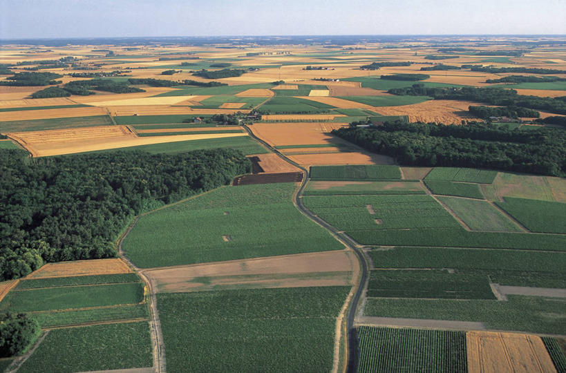 无人,农场,横图,俯视,室外,白天,农业,美景,法国,欧洲,地平线,地形,景观,田地,辽阔,地面,树,风景,自然,广阔,景色,摄影,宁静,一望无际,西欧,地中海文化,法兰西,自然风光,延伸,万里无云,法兰西共和国,天地相交,法兰西第五共和国,无边无际,一马平川,安德尔.卢瓦尔省,中央大区,昂布瓦斯,舍农索城堡,雪侬梭城堡,彩图,高角度拍摄