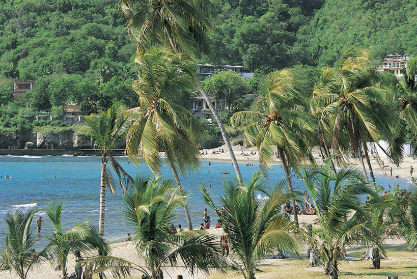 横图,俯视,室外,白天,度假,海洋,棕榈树,古巴,加勒比海,朦胧,模糊,海岸线,许多人,树,自然,一群人,大西洋,摄影,北美,北美洲,西印度群岛,拉丁美洲,美洲,首府,省会,北亚美利加洲,亚美利加洲,古巴共和国,圣地亚哥.德.古巴,海滩,休闲活动,彩图,高角度拍摄,圣地亚哥省