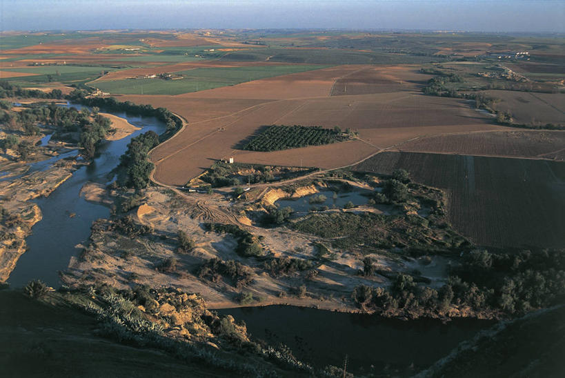 无人,横图,俯视,室外,白天,旅游,度假,农业,河流,美景,西班牙,欧洲,反射,地平线,地形,景观,田地,辽阔,地面,娱乐,树,风景,天空,自然,平原,享受,休闲,广阔,景色,放松,摄影,宁静,一望无际,地中海文化,自然风光,延伸,安达路西亚,天地相交,无边无际,一马平川,彩图,高角度拍摄,瓜达尔基维尔河