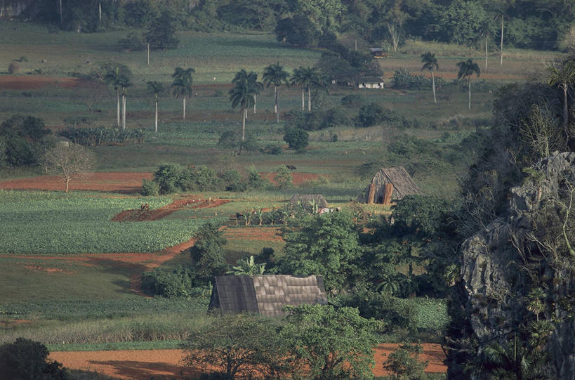 无人,农场,横图,俯视,室外,白天,农业,石头,美景,峡谷,棕榈树,古巴,加勒比海,阴影,石子,景观,田地,山谷,草,树,自然,景色,大西洋,摄影,西印度群岛,拉丁美洲,岩层,自然风光,比那尔德里奥,烟草,石块,岩石,彩图,高角度拍摄,小屋,传统文化