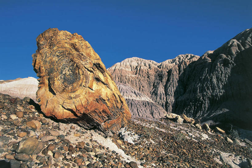 无人,横图,室外,白天,仰视,旅游,度假,美景,美国,化石,景观,娱乐,风景,自然,享受,休闲,景色,放松,摄影,宁静,亚利桑那,北美,国家公园,岩层,圆木,自然风光,万里无云,地质学,石化森林国家公园,自然地理,岩石,彩图,低角度拍摄