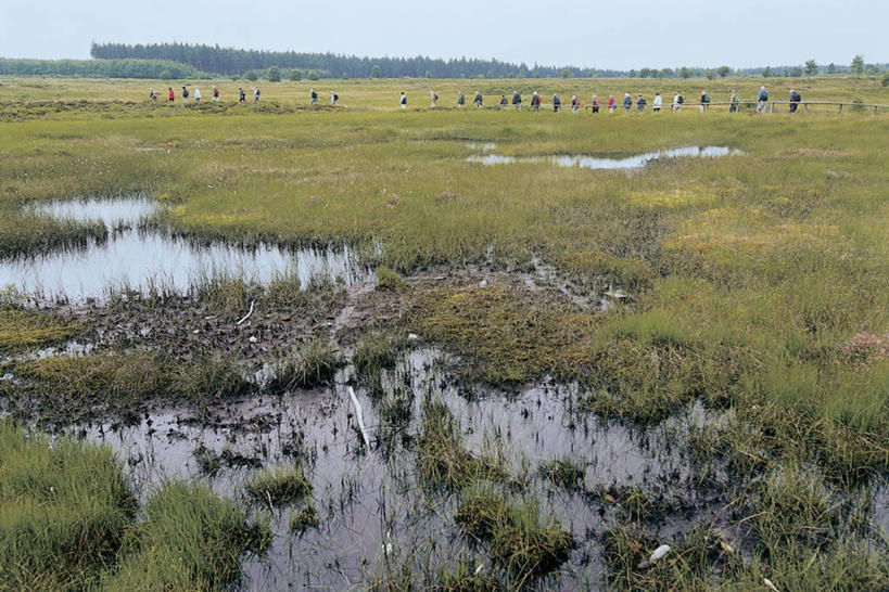 无人,横图,室外,白天,旅游,度假,美景,水,比利时,欧洲,地平线,地形,景观,辽阔,地面,娱乐,草,天空,自然,享受,休闲,广阔,景色,放松,摄影,宁静,一望无际,环境,沼泽,自然风光,延伸,天地相交,无边无际,一马平川,自然地理,彩图,列日