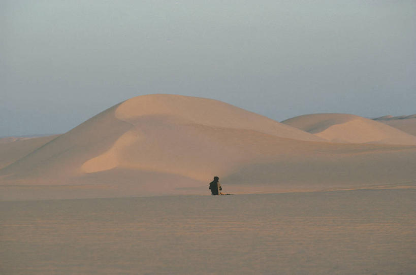 一个人,攀登,横图,室外,白天,旅游,度假,探险,运动,美景,沙漠,非洲,尼日尔,朦胧,模糊,包,沙子,地平线,地形,景观,辽阔,联合国,地面,沙丘,娱乐,背面,天空,自然,地标建筑,享受,休闲,广阔,景色,放松,摄影,一望无际,气候,自然风光,延伸,户外活动,干的,挑战,背包客,天地相交,西非,无边无际,一马平川,自然地理,休闲活动,步行,半身,彩图,旅行,联合国教科文组织,背包族