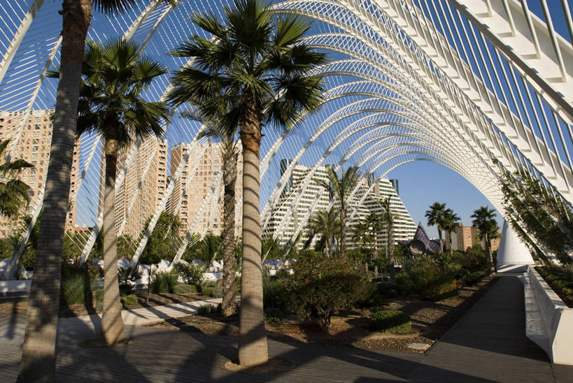 无人,工程师,建筑师,博物馆,植物园,横图,室外,白天,城市,建筑,棕榈树,西班牙,欧洲,阴影,形状,弯曲,拱门,温室,现代,天空,地标建筑,摄影,园林,地中海文化,都市风光,伊比利亚半岛,万里无云,管理,巴伦西亚省,建筑工程师,设计,彩图,旅行,艺术科学城,画则师,图则师,则师,评估,人员,圣地亚哥.卡拉特拉瓦