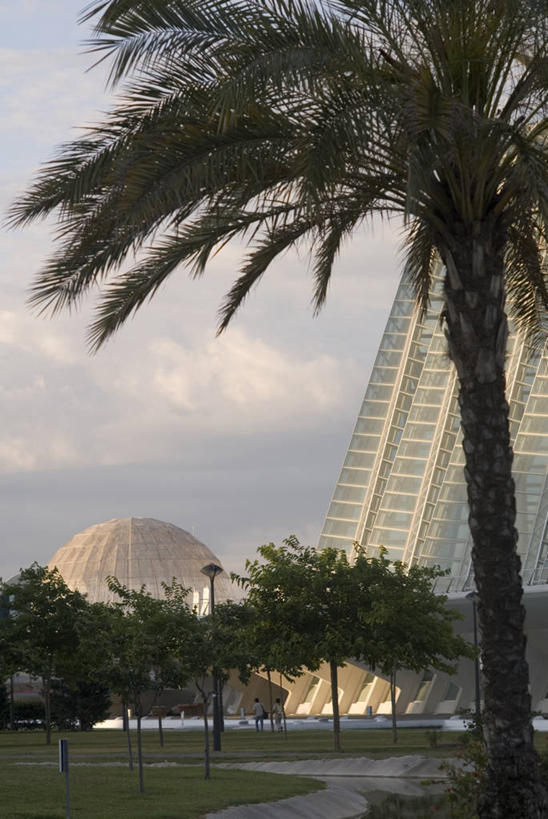 无人,博物馆,竖图,室外,白天,水,城市,建筑,棕榈树,西班牙,欧洲,云,现代,树,天空,地标建筑,摄影,圆顶建筑,地中海文化,都市风光,伊比利亚半岛,巴伦西亚省,彩图,旅行,艺术科学城
