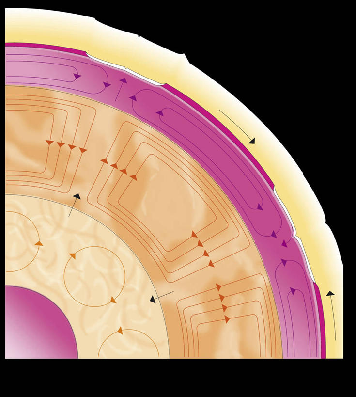 无人,竖图,方图,插画,数码,科技,壁炉,指示牌,阴影,太空,网络,标志,图表,文字,地球,高光,几何,计算机图形,合成,图画,方向,标识,箭头,画,装饰物,取暖,球体,行星,探索,电脑合成图,数码合成图,指向,合成图,岩层,横截面,漫画,计算机制图,苹果核,簇,三维图形,地质学,类地行星,自然地理,岩石,彩图,取暖设备,地核