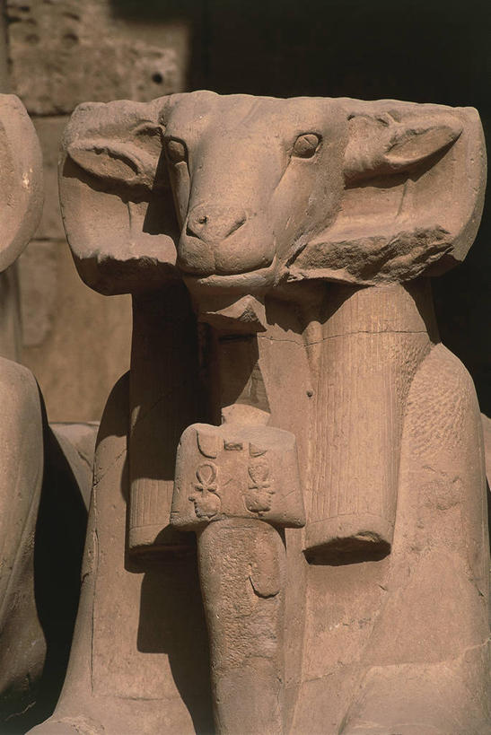 太阳穴,无人,竖图,室外,白天,建筑,狮子,雕塑,埃及,雕像,纪念碑,联合国,历史,摄影,中东,公羊,北非,中东文化,卡尔纳克神殿,埃及文化,斯芬克斯,古埃及文明,古代文明,底比斯,绵羊,彩图,联合国教科文组织,埃及卢克索