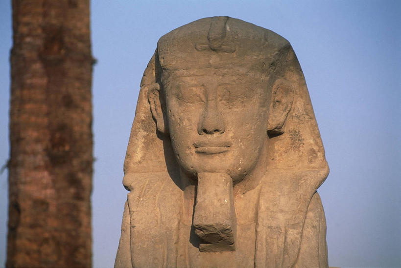 无人,横图,室外,白天,建筑,雕塑,埃及,标志,雕像,符号,纪念碑,联合国,历史,标识,地标建筑,摄影,巨大,庞大,部分,中东,北非,中东文化,卡尔纳克神殿,鲁克索神殿,埃及文化,性别符号,斯芬克斯,宏大,硕大,伟大,古埃及文明,古代文明,底比斯,彩图,男性符号,联合国教科文组织,埃及卢克索