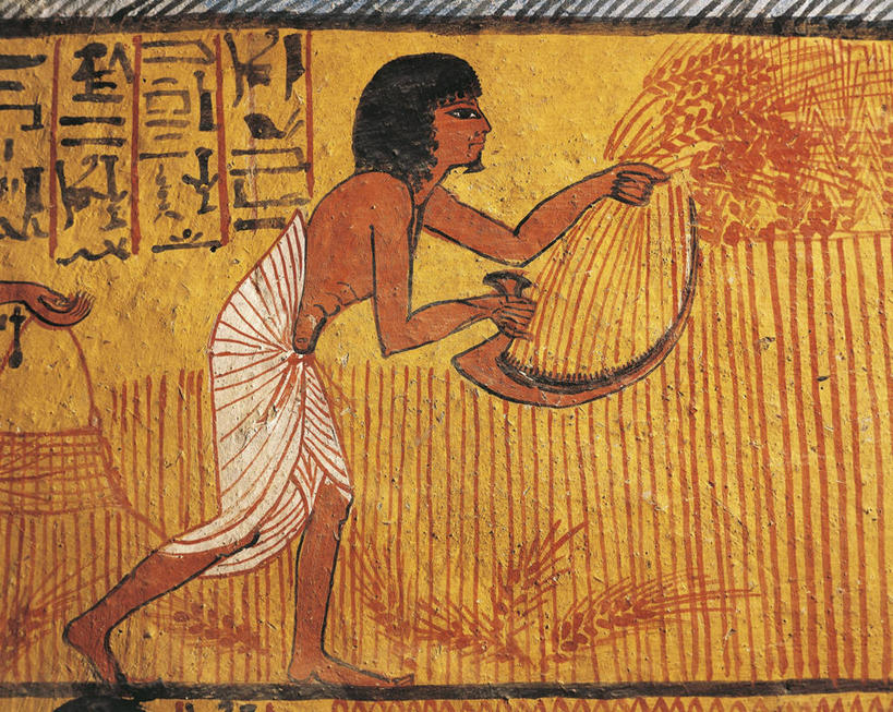 无人,农民,横图,室内,侧面,绘画,农业,小麦,机器,艺术,标志,符号,联合国,古典,文化,标识,壁画,工艺品,品味,机械,摄影,收获,美术,高雅,中东,象形文字,作画,镰刀,埃及文化,美学,性别符号,古埃及文明,古代文明,底比斯,美术工艺,步行,彩图,男性符号,联合国教科文组织,农业机械