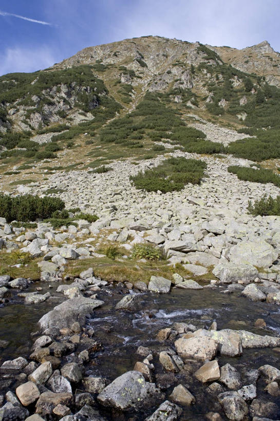 无人,竖图,室外,白天,山,保加利亚,风景,小溪,自然,地标建筑,摄影,国家公园,岩石,彩图,联合国教科文组织,郊野公园