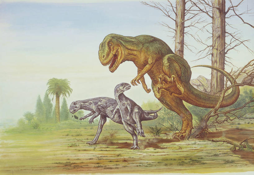 无人,跑,横图,插画,室外,白天,数码,科技,野生动物,三只,阴影,网络,捕食,高光,几何,计算机图形,合成,图画,历史,画,树,自然,动物,恐龙,环境,电脑合成图,数码合成图,合成图,进攻,漫画,写实,具体,具象,橡树龙,异特龙,侏罗纪,古代史,地质学,史前时代,危险,彩图,中生代,过去,古生物学