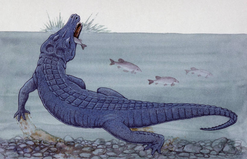 游泳,无人,吃,横图,插画,室外,白天,数码,科技,湖,河流,水,野生动物,阴影,网络,捕食,流水,高光,几何,计算机图形,合成,图画,历史,鱼类,画,自然,动物,恐龙,环境,电脑合成图,数码合成图,合成图,漫画,远古,写实,具体,具象,三叠纪,古代史,地质学,史前时代,彩图,年代,地质年代,地质时代,时代,显生宙,中生代,过去,古生物学