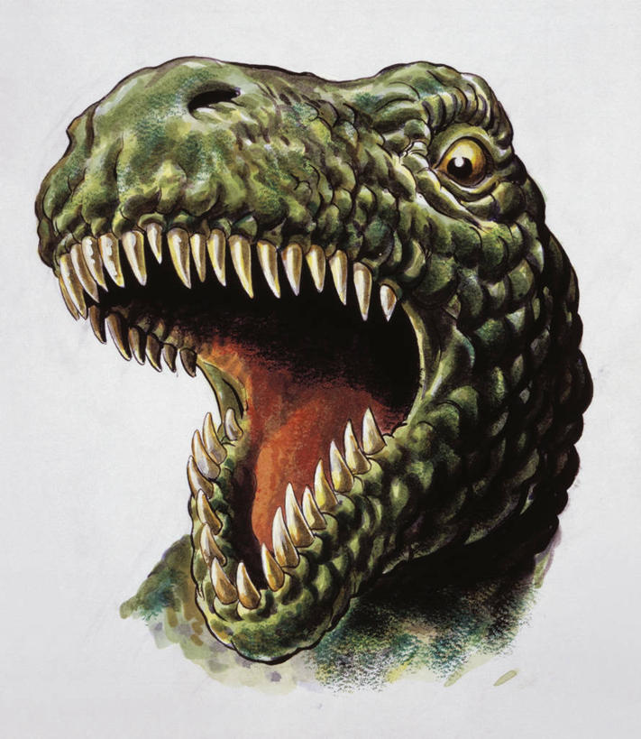 无人,竖图,方图,特写,野生动物,捕食,自然,动物,打开,恐龙,环境,开启,威胁,霸王龙,古代史,地质学,史前时代,危险,彩图,白垩系,过去,古生物学