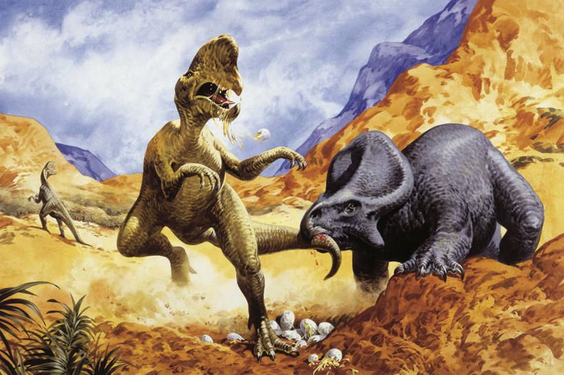 无人,横图,室外,白天,山,野生动物,三只,自然,动物,恐龙,环境,打斗,进攻,生存,卵,偷蛋龙,原角龙,古代史,地质学,史前时代,自然地理,彩图,白垩系,过去,古生物学