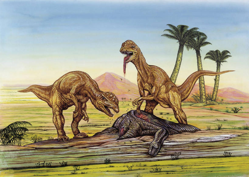 无人,横图,室外,白天,野生动物,捕食,自然,动物,两只,恐龙,环境,进攻,生存,喂养,侏罗纪,古代史,地质学,史前时代,彩图,双脊龙,过去,古生物学