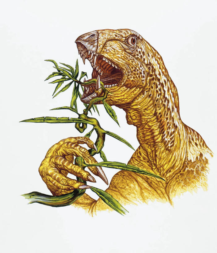 无人,竖图,方图,特写,白色背景,野生动物,叶子,白色,自然,动物,打开,恐龙,食草动物,环境,开启,偶蹄目,侏罗纪,古代史,地质学,史前时代,彩图,过去,古生物学